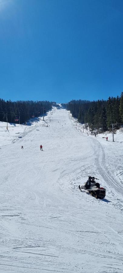 Apartman Winter Pale Dış mekan fotoğraf